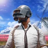 PUBG MOBILE：絕地求生M APK icon